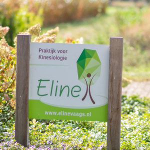 Kinesiologie Eline